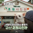 초원애견샵 | 군산 가면 꼭 찍어야 할 곳, 애견동반 8월의 크리스마스 초원사진관