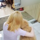 아트현 이미지