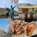 4월 1주차 주말(기장 구름바베큐-캠핑, 컴퓨터설치, 토달토달, 경주대릉원 돌담길 벚꽃, 경주 두낫...