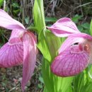 한농한의원 이미지