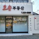늘부동산공인중개사사무소 | 대전부동산 오슈공인중개사사무소 전세 상담 후기