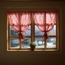 춘자의 완당 공자의 우동 이미지