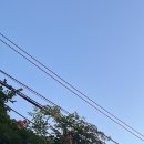 렛츠롤문김밥