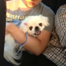 우현동물병원 이미지