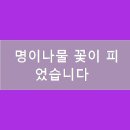 개화정육점