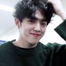 쿱스 이미지