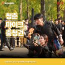 괴산두루두루협동조합 | 괴산 소금랜드 양곡은행나무축제 청춘마이크 충청권...댄스컬·파이어쇼·파이어 퍼포먼스 공연 후기