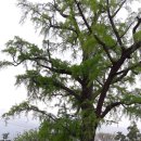 (주)사랑채 이미지