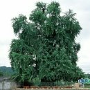 옥성면보건지소 이미지