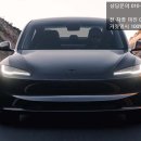 모델3 스탠다드 실물 후기, 롱레인지와 옵션 차이 핵심만 정리