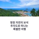 해남섬민박 | 추자도 여행 준비 끝! 완벽 가이드 최신판