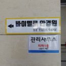 동탄 2 영천동 안경점 바이옐로에서 레이벤 여자 데일리 선글라스 구입 후기(feat.페이크미, 퍼블릭비컨)