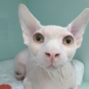 원스동물병원 이미지