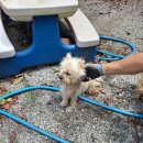 도청대로93번길 이미지