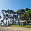 덕적초등학교 이미지