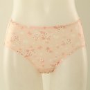 비너스와코루 이미지