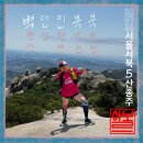 방배로32길 84 (1) | [서울] 서울 서북 5산 종주(백안인북북)