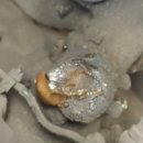 청림세차장 이미지