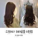 [소프레사 헤어살롱 이천점] 습열아이론펌 후기