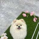 호텔올림포스 이미지