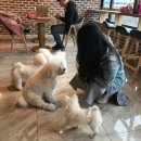 윤후동물병원 이미지