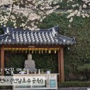 제일로 74번길 이미지