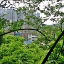 다사초등학교 건너 이미지