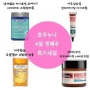 로얄피시 이미지