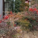 축령산 치유의 숲 안내센터 이미지