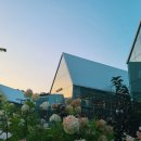 이포우리분식 이미지