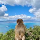 청주시립미술관 오창전시관 이미지