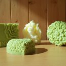 치유의숲 이미지