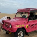 나리목장2 이미지