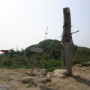 삼양농장 티스토리