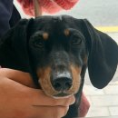 세븐일레븐 울산온산덕신점 | [울산/온산] 국밥과 우동을 동시에 ! 1석 2조 덕신맛집 덕신밥집동동국밥 울산덕신점 솔직후기