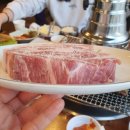 조선옥 티스토리