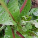 광주현대농장 이미지