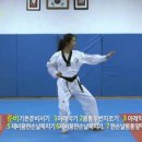 정진태권도 이미지