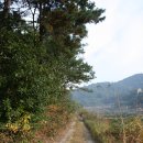 유곡소류지 Daum카페