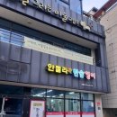 안젤라한솔영어