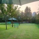 수지아르피아 이미지