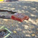 밀양댐스쿨캠핑장 | [9번째캠핑] 밀양댐스쿨캠핑장