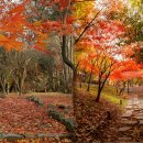 자연속에서-산 이미지