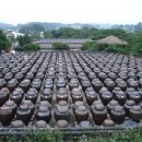 서일농장2 이미지