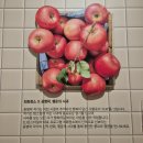 CJ온스타일 컴온스타일 최화정쇼 &amp; 프린트 베이커리 윤병락 작가 팝업스토어 방문 후기.
