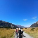 달건너농장 | [뉴질랜드 여행-1] 테카포/푸카키 호수, 마운트 쿡, 린디스 패스, 와카나 라벤더 팜