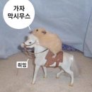 아그네스 | 대구 한관종 치료 / 아그네스 고주파 1회차 후기