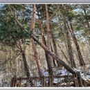 연리지민박 이미지