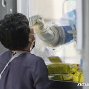 수원-1175 이미지