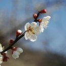 성당농장 이미지